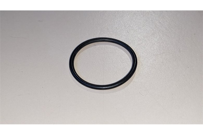 Anello Orm 0250-20 (25X2) - Originale BCS - 38112315