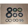 Seal Kit - Originale Stiga - 1139-1436-01 