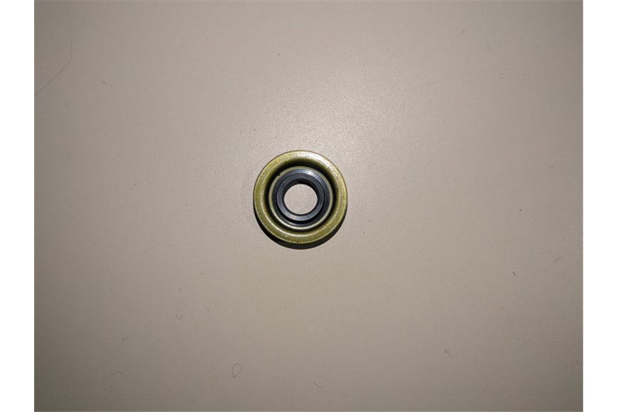 Anello Di Tenuta - Originale Stiga - 119035163/0