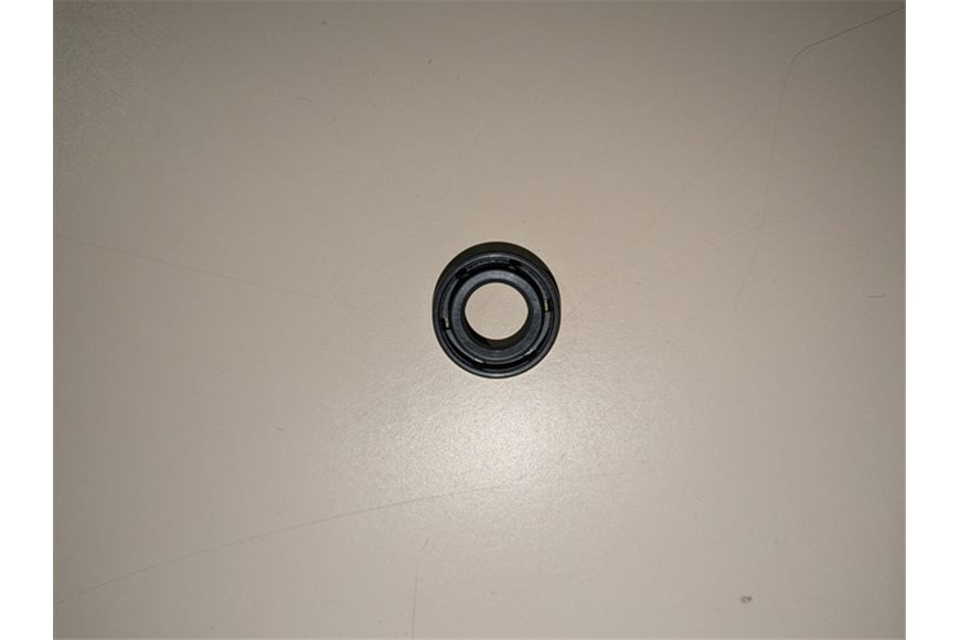 Anello Di Tenuta - Originale Stiga - 119035162/0