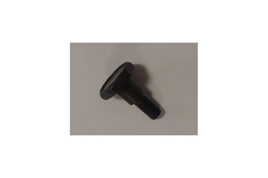 Bullone Frizione - Echo Originale - 17504646430
