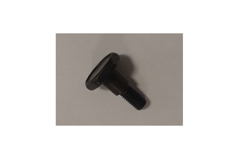 Bullone Frizione - Echo Originale - 17504646430