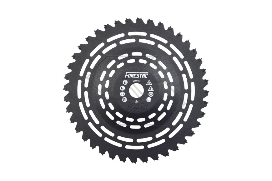 40-tooth WIDIA FORESTAL GROUND disc 255x25.4
