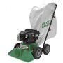 Aspirafoglie Billy Goat LB352EU 