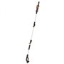 Potatore telescopico a batteria Worx WG349E 