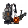 Worx WG572E Akku-Rucksack-Laubbläser