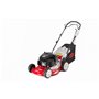 Rasaerba Ibea IB-50027L