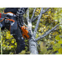 Husqvarna 445S Chainsaw