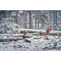 Husqvarna 560 XP® G Mark II chainsaw