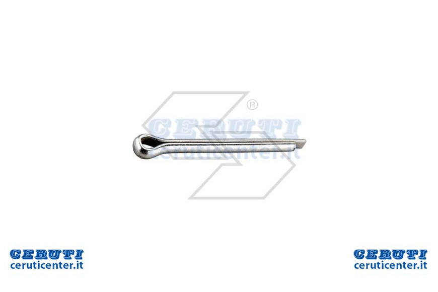 Coppiglia D.4 X 60