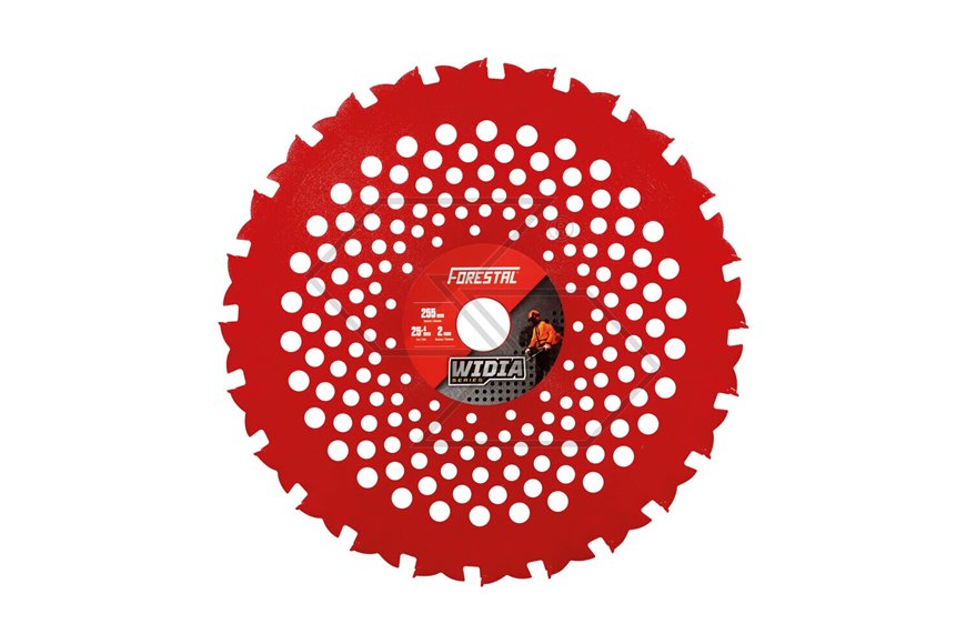 24D Widia For Lunar disc 255X25.4