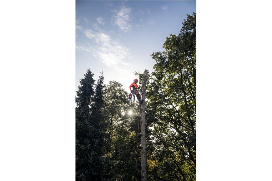 Arborist wedge, 4"