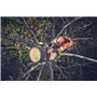 Arborist wedge, 4"