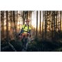 Motosega Husqvarna 560 XP®