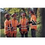 Cuffie protettive, per elmetto Functional e Technical