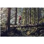 Tronçonneuse - 966733138 - Pièce d'origine Husqvarna