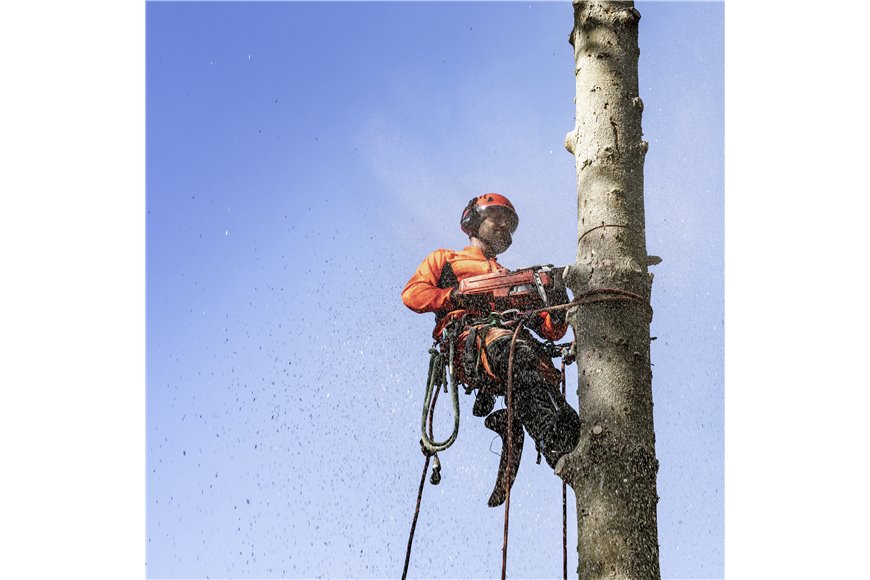 Husqvarna 550 XP® Mark II Chainsaw