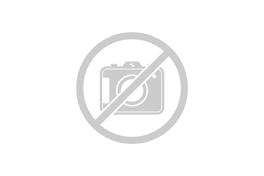 Membrana Princ. Forestal.Wa-95-526 - R126686