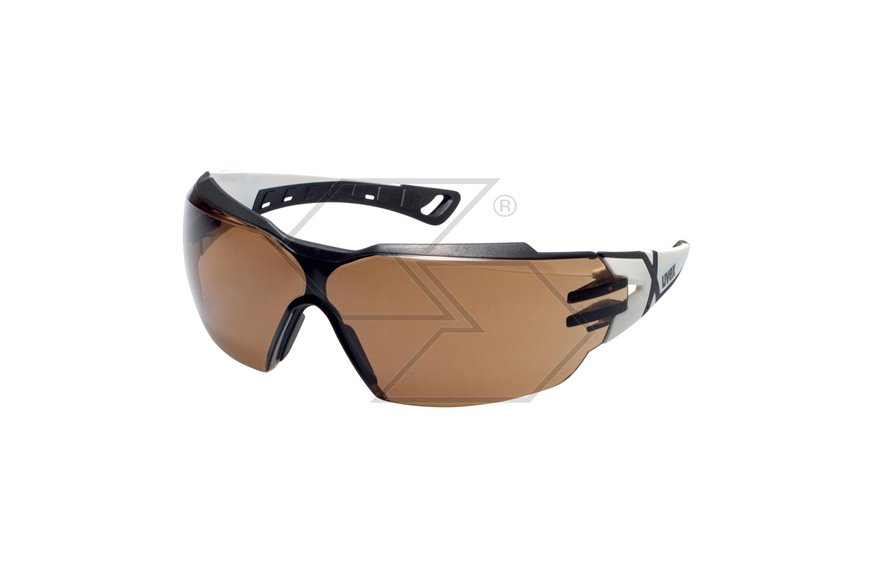 Occhiale Uvex Pheos Cx2 Bianco/Nero