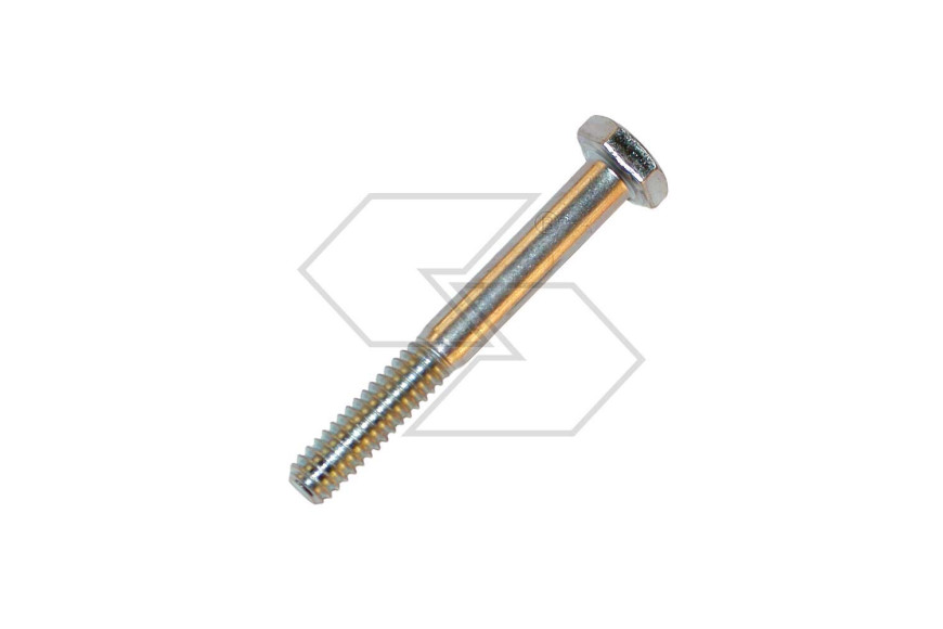 Vite Centrale D.6X75 Coperc.Filtro