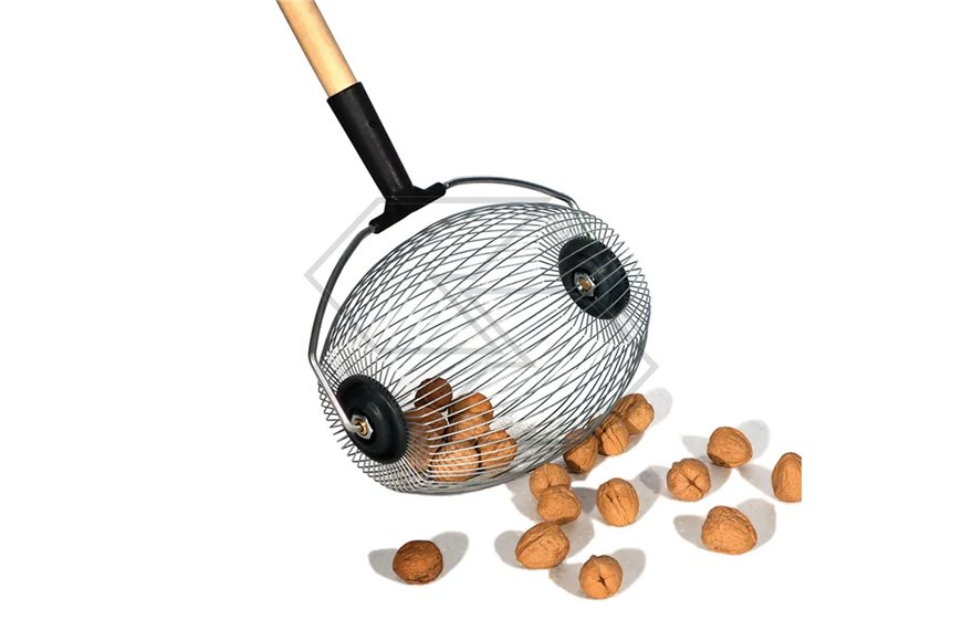 Raccogl.Med.S/Man.X Castagne/Noci