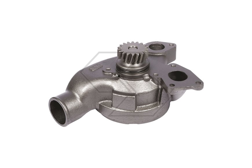 Pompa Acqua Landini 115-130 Blu