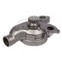 Pompa Acqua Landini 115-130 Blu