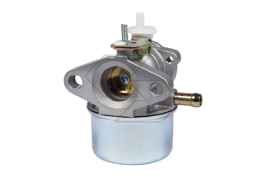 Carburatore Ex 799869-792253