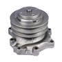 Pompa Acqua Ford 3600-7600