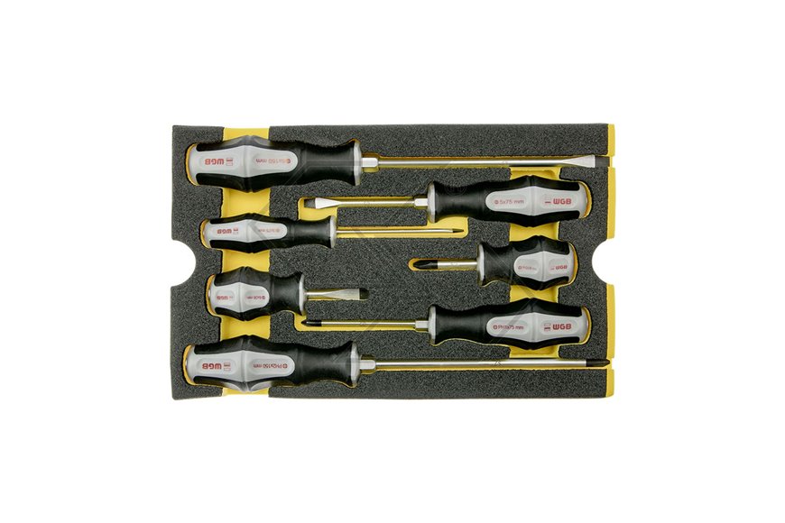 Set Cacciaviti Per Moduli
