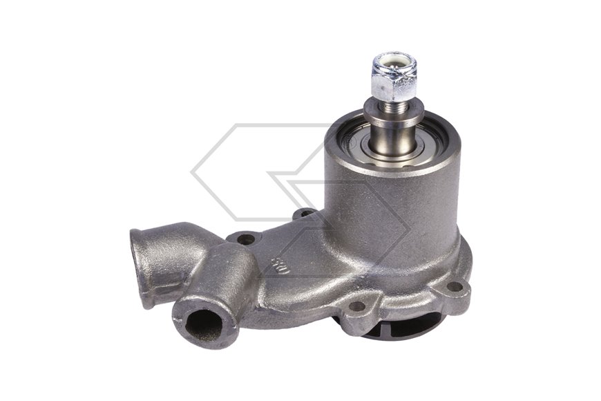 Pompa Acqua Landini 9060