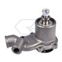 Pompa Acqua Landini 9060