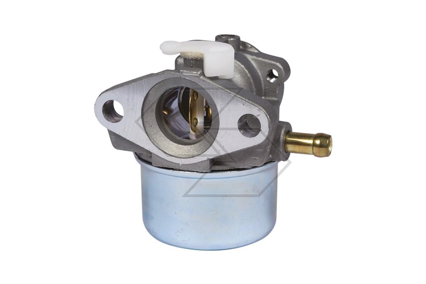 Carburatore Ex 790120