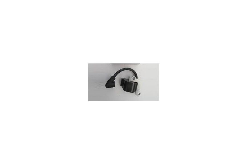 Emak 61110153AR - Bobina Completa | Originale