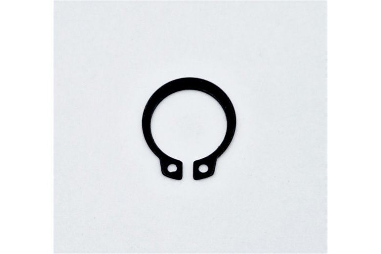 Anillo Seeger