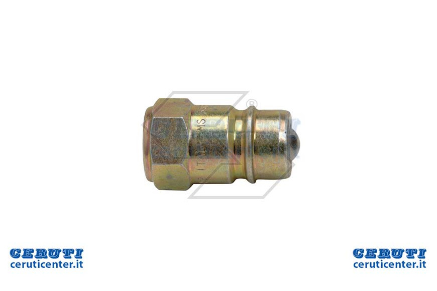 Innesto Rap.Sfer.Mas.1/4 Std
