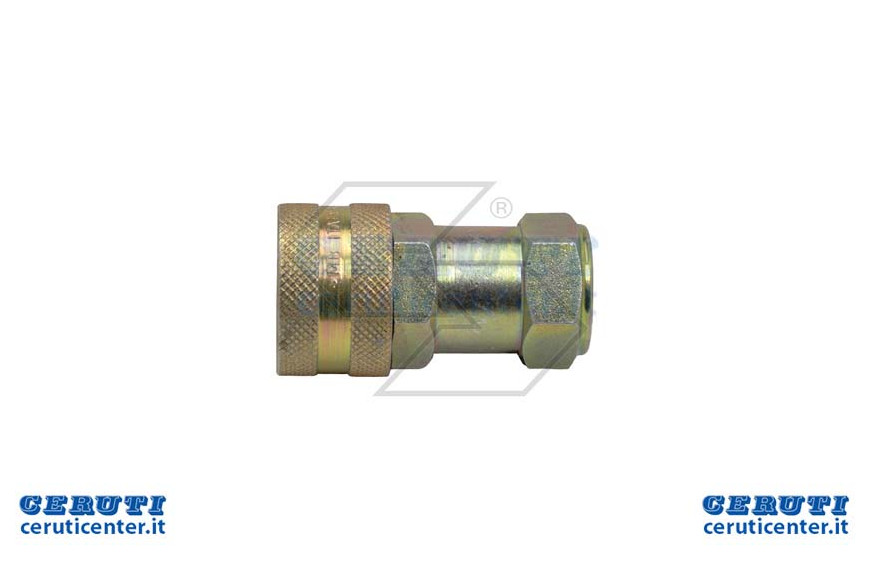 Graft Rap.Sfer.Fem.1 / 4 Std