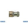 Graft Rap.Sfer.Fem.1 / 4 Std