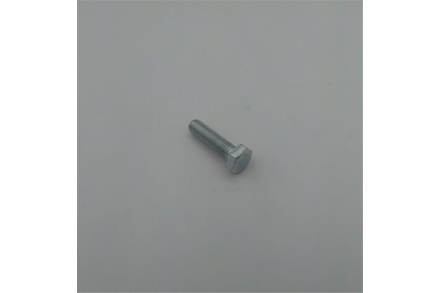 Vte 8.8 M 6X22 Uni5739 Zng - Originale EMAK - 3806040