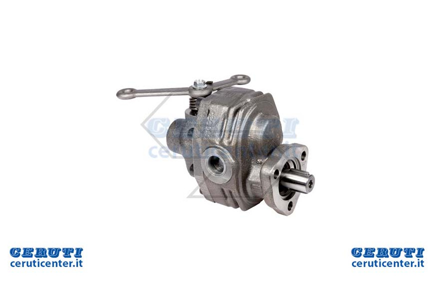 Pompe Oleod.Ad Ingr.60 L