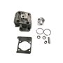 Cilindro Completo - Original Emak - 58070200A