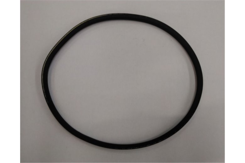 Belt - Original Emak - G135061403E0