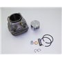 Complete Cylinder - Original Emak - 50092028B