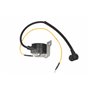 Ignition Coil - Original Emak - 098000091AR