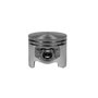 Piston Assy - 094100051