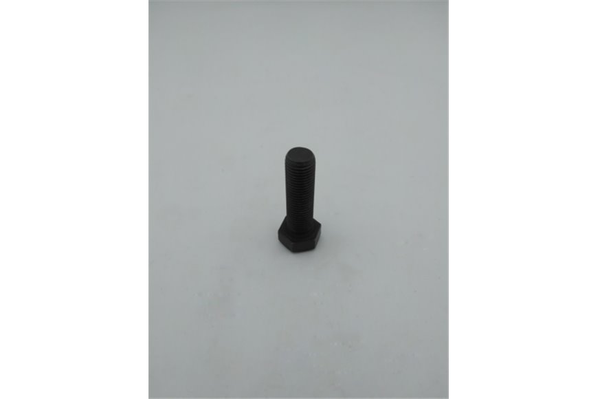 Vite - Originale Emak - TS000098R