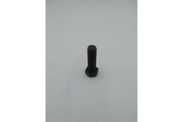 Vite - Originale Emak - TS000098R