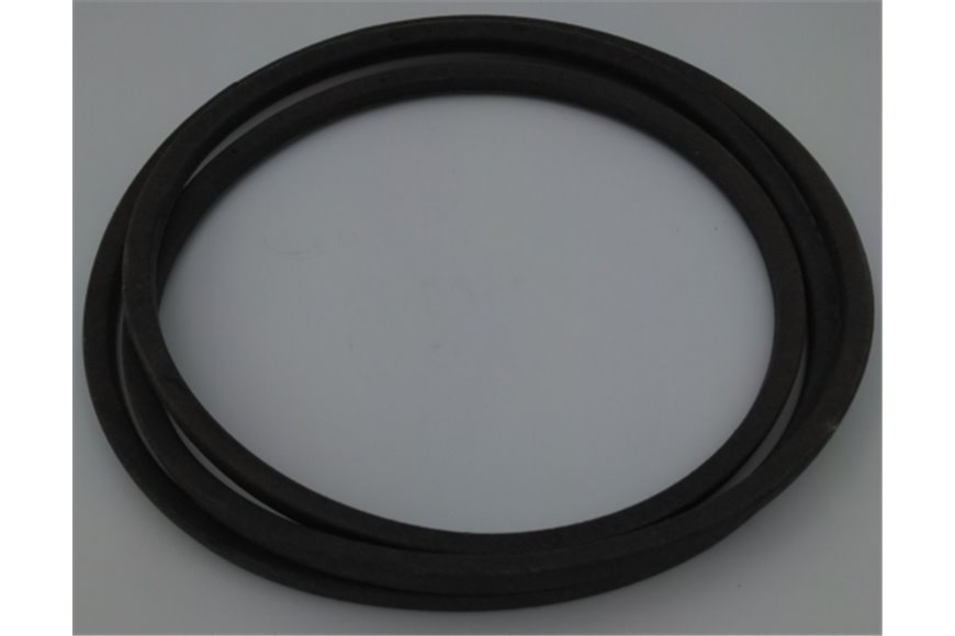 Cinghia V 48X920 - Originale Emak - TS000143R