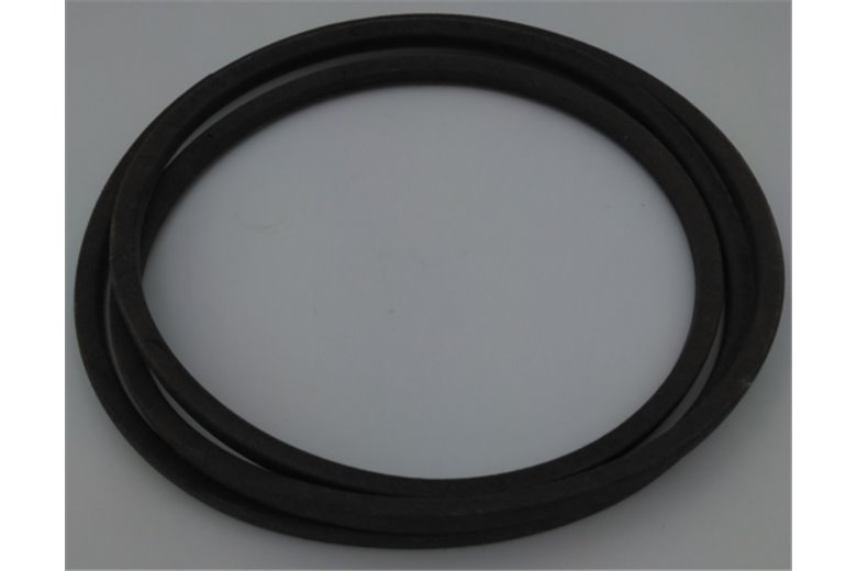 Cinghia V 48X920 - Originale Emak - TS000143R