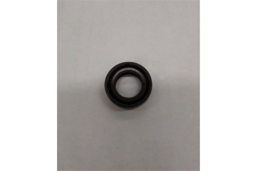 Anello di tenuta